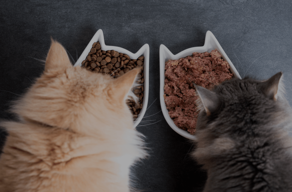 Cat Food Industry